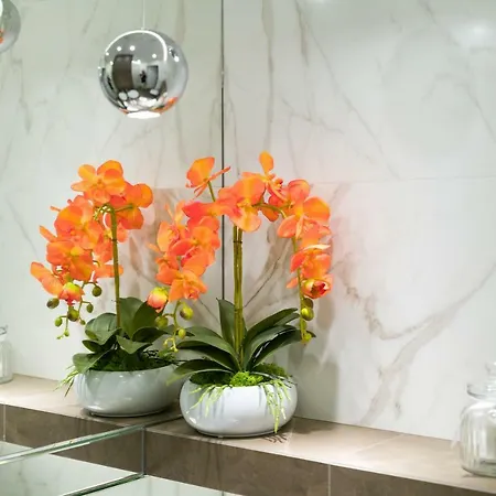 Daire Raj 4 Ul. Rajska Stare Krakow